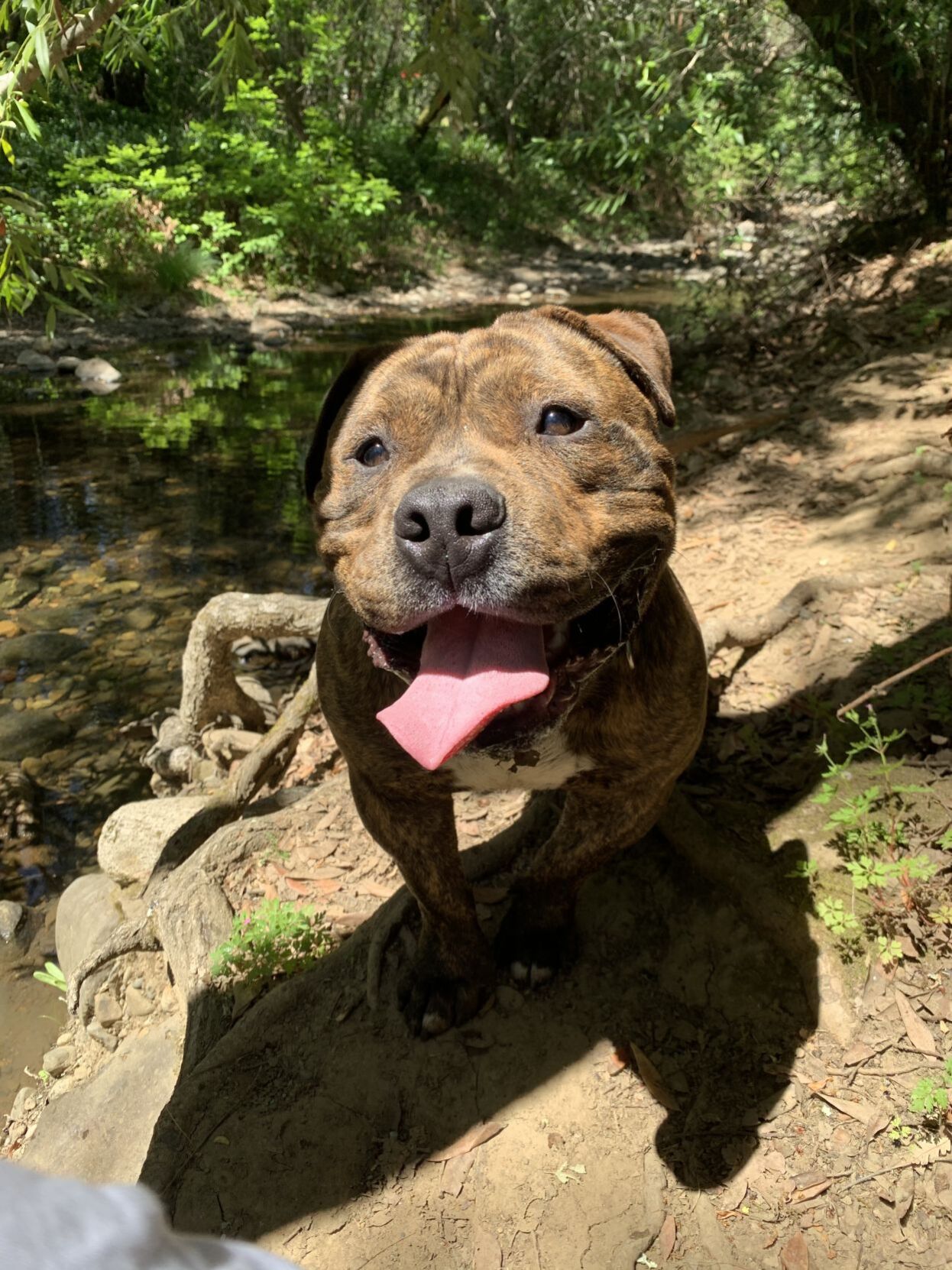 Oscar